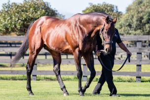 New Stakes Winner for Swiss Ace