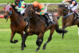 Imposing Record in Broodmare Role