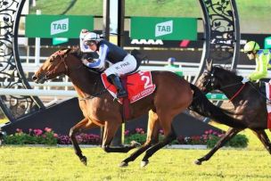Tarzino Filly Takes Trainer to New Height