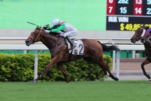 Stud’s Double Delight in Hong Kong