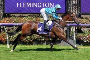Reliable Mare a Hot Group 1 Prospect