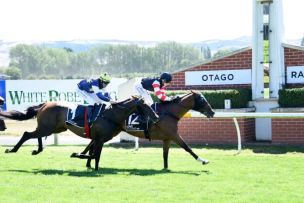 Stakes Strike for Honest Mare