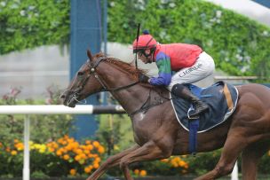 Well-bred 2YO Aces Stakes Rivals
